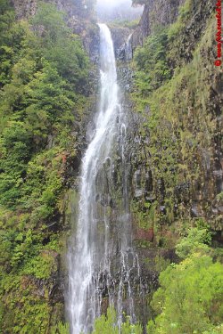 Madeira00099 (Copy)