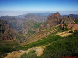 Madeira00154 (Copy)